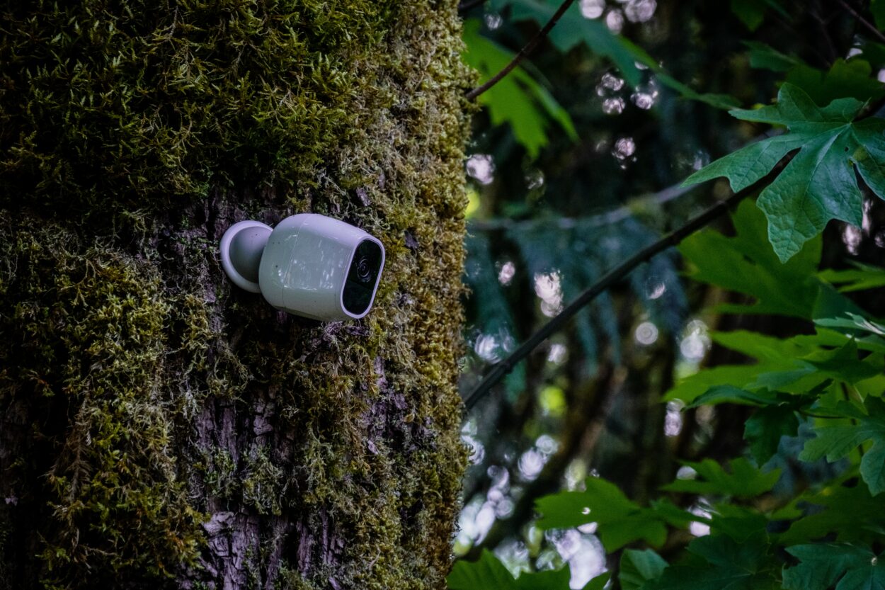 A white small security camera on a brown tree trunk.