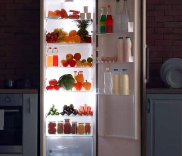 kenmore-refrigerator-led-lights-not-working