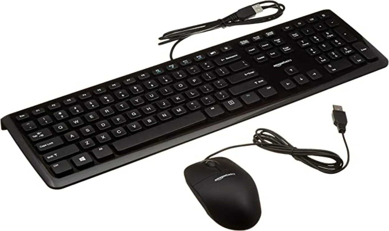 typical mouse and a keyboard.