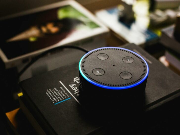 Echo Vs Alexa: Understanding the Differences – (Facts & Distinctions)