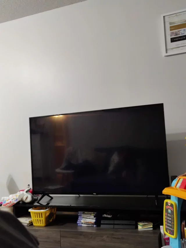 How Can Onn TV Black Screen Be Fixed?