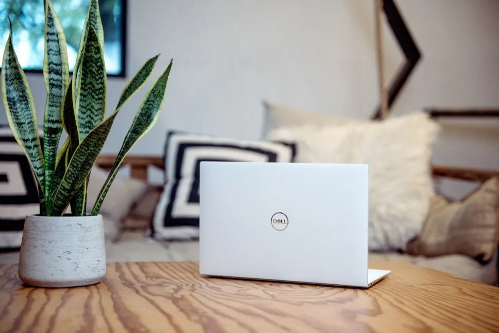 White dell laptop beside an house plant.