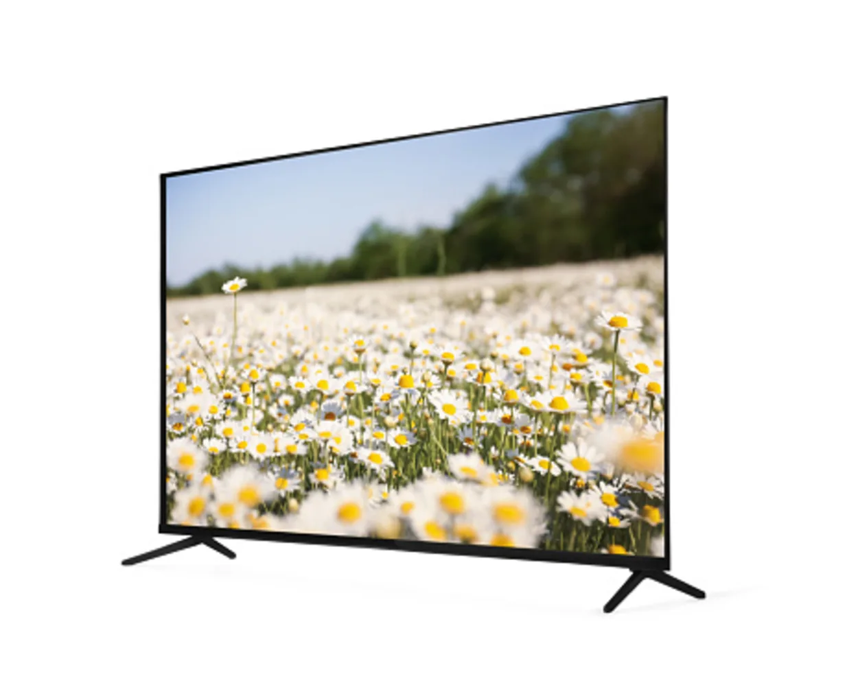 Modern wide-screen TV monitor showing beautiful chamomile flowers in a field isolated on white
