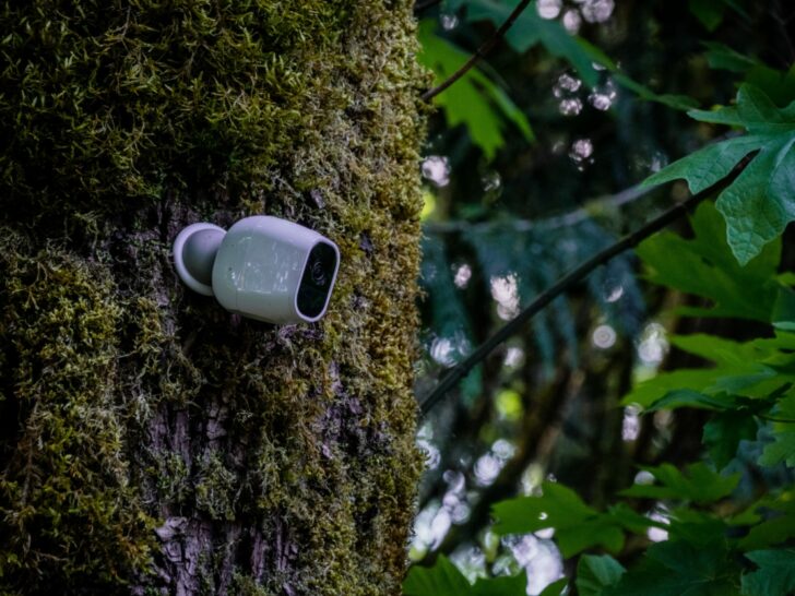 A wireless camera installed on a tree