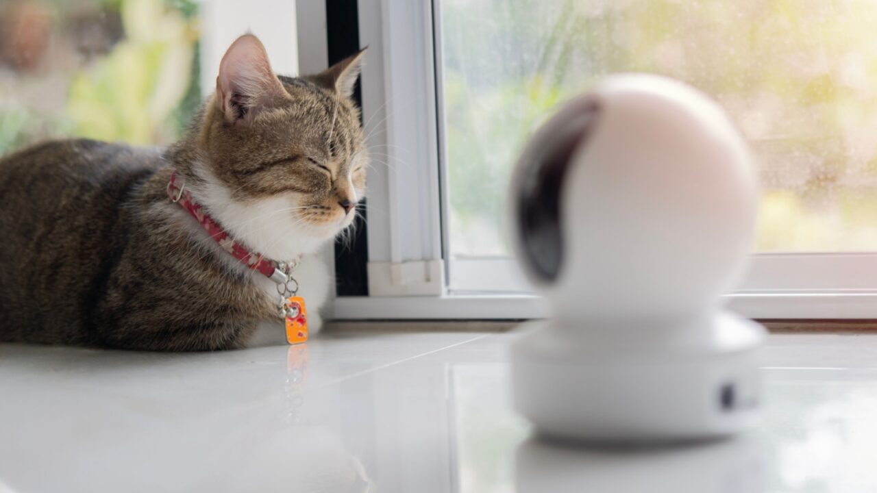 Smart Pet Camera