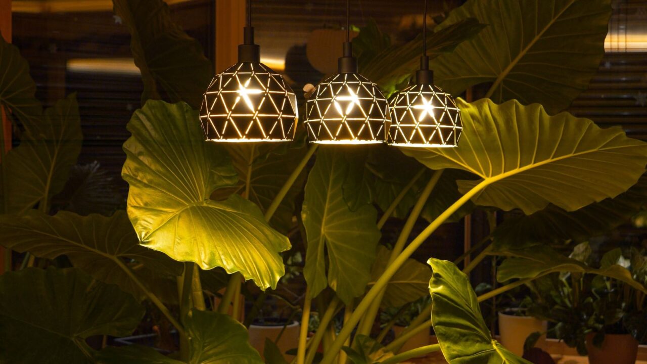 Stylish ceiling lights.