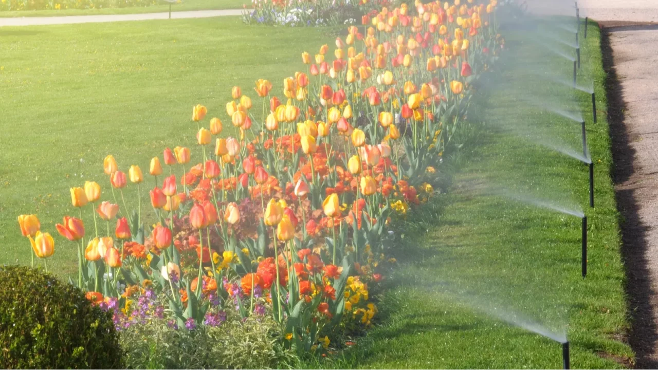 smart garden automatic sprinkler irrigation system working early in the