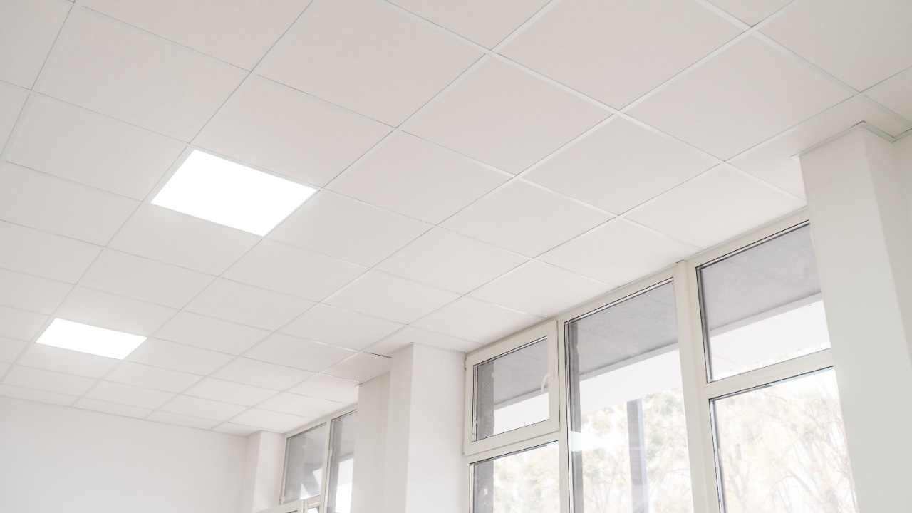 Acoustic ceiling with lighting and light channel window