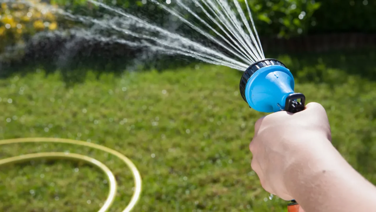 woman watering plants