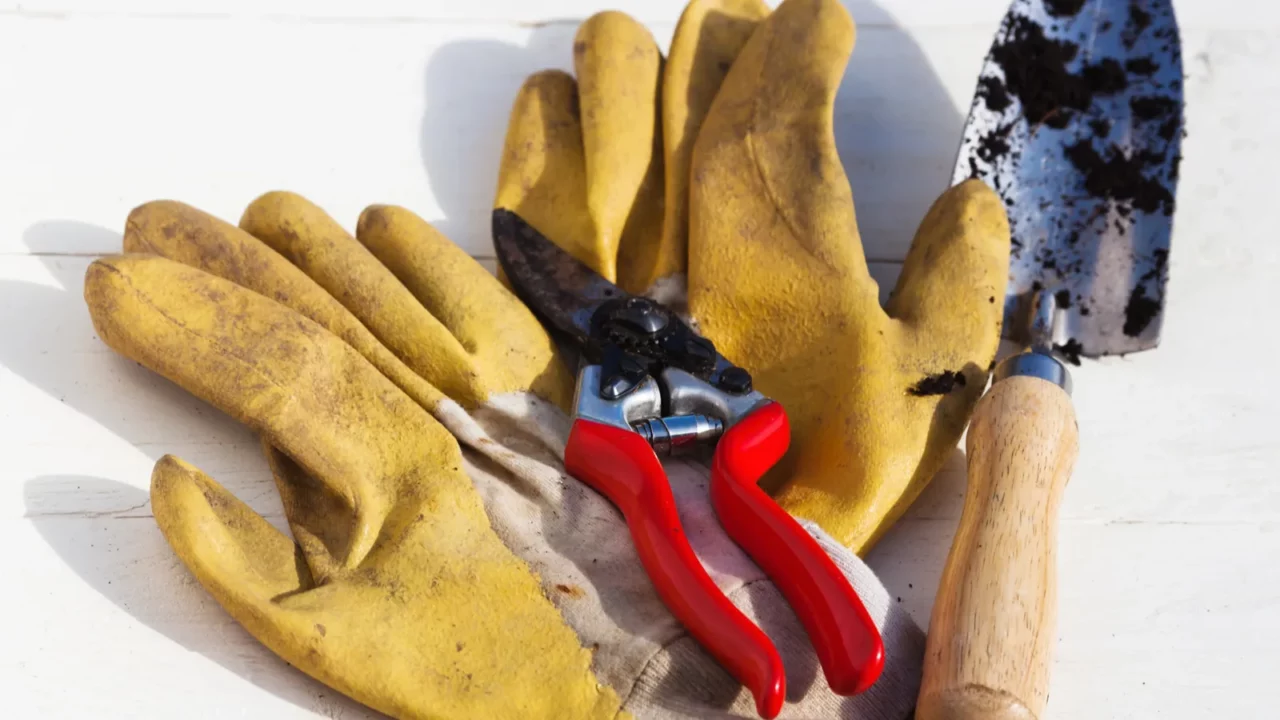 conceptual picture of garden tools and garden gloves