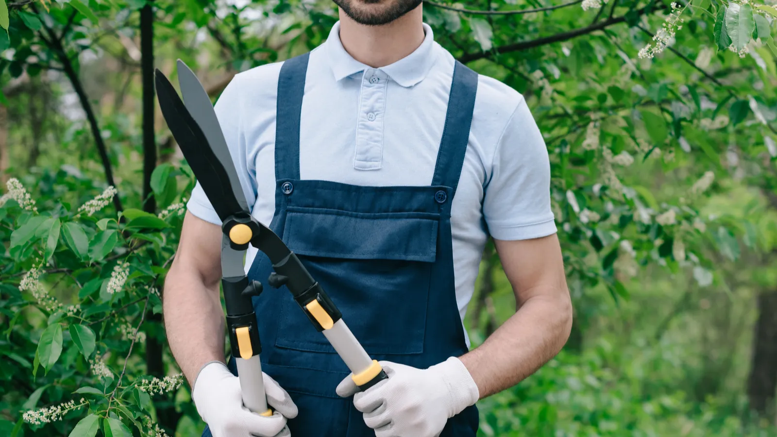 A Pro Gardener’s Guide to Pruning Hostas Right