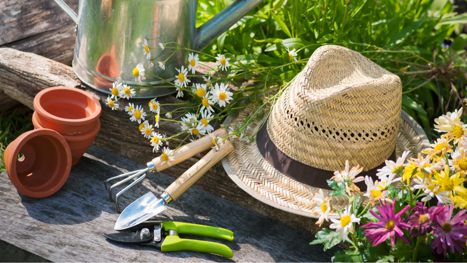 Pro gardeners swear by these five fall must-haves